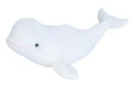 Beluga White - Wild Republic - białucha arktyczna 50 cm, maskotka pluszowa_22467.jpg