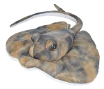 Southern Ray - Wild Republic - ogończa/płaszczka 30 cm, maskotka pluszowa