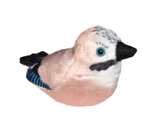 Sójka maskotka ptak z głosem 14 cm Wild Republic