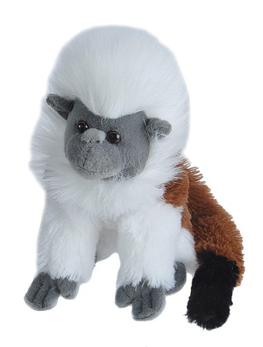 Tamaryna białoczuba 20 cm maskotka - Wild Republic mini