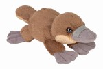 Dziobak 13 cm eko-pluszak do kieszonki – Wild Republic PocketKins