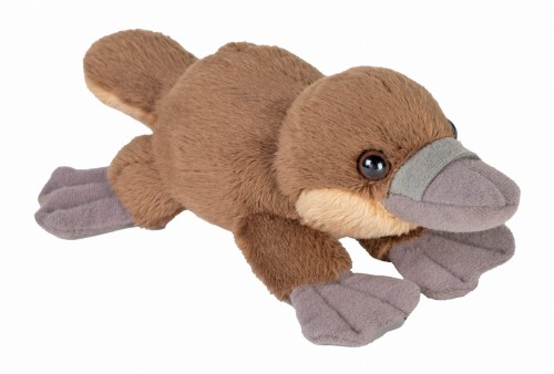 Brązowy dziobak 13 cm eko-pluszak do kieszonki Wild Republic PocketKins