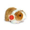 Złoto-biała pluszowa świnka morska  1a 20cm Hermann Teddy Collection