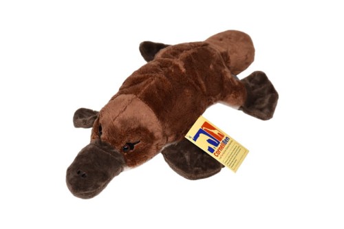 Platypus - Cornelißen - dziobak 28 cm, maskotka pluszowa_1017274.jpg
