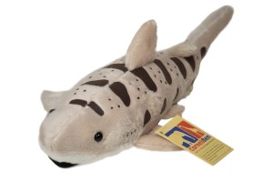 Leopard shark - Cornelißen - rekin lamparci 31 cm, maskotka pluszowa