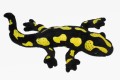 Fire salamander - Cornelißen - salamandra plamista 28 cm, maskotka_1017267.jpg