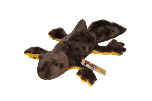 Crested newt - Cornelißen - traszka grzebieniasta 30 cm, maskotka _1017287.jpg
