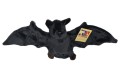 Bat - Cornelißen - nietoperz 36 cm, maskotka pluszowa_1017078.jpg