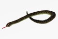 European viper - Cornelißen - żmija zygzakowata 100 cm, maskotka pluszowa_1043094.jpg