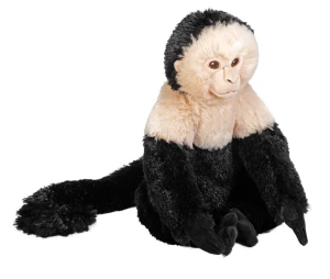 Kapucynka białolica 30 cm maskotka eko – Wild Republic EcoKins