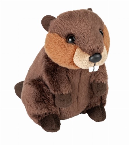 Brązowy bóbr 13 cm eko-pluszak do kieszonki Wild Republic PocketKins