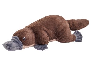 Dziobak 48 cm maskotka – Wild Republic