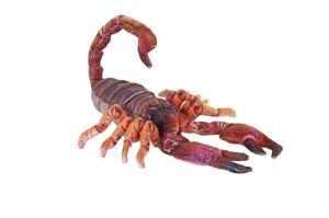 Scorpion - Wild Republic - skorpion maskotka