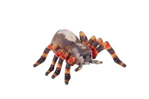Tarantula - Wild Republic - tarantula maskotka