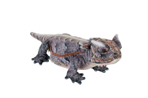 Horned Lizard - Wild Republic - frynosoma maskotka