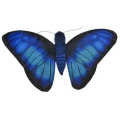 Butterfly Blue Morpho - Wild Republic - motyl morpho maskotka_28281.webp