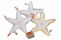 Starfish mini - Wild Republic - rozgwiazda 28 cm, maskotka pluszowa od spodu