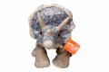 Triceratops - Wild Republic - triceratops 30 cm dinozaur pluszowy.jpg