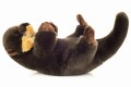 Otter - Hermann Teddy Collection - wydra 32 cm, maskotka pluszowa_90160 0_seite.jpg
