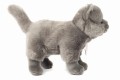 Szary pluszowy kot kartuski 20cm stojący maskotka premium Hermann Teddy Collection