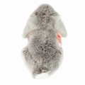Lop-eared rabbit grey - Hermann Teddy Collection - królik mini lop 18 cm, maskotka_93728 9_rueck.JPG