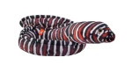 Eel Moray Zebra - Wild Republic - murena zebra 137 cm, pluszowa maskotka