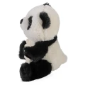 30351_L.webp