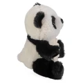 30351_R.webp